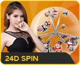 24dspin